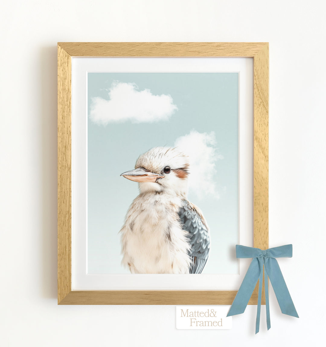 Baby Kookaburra Framed Art