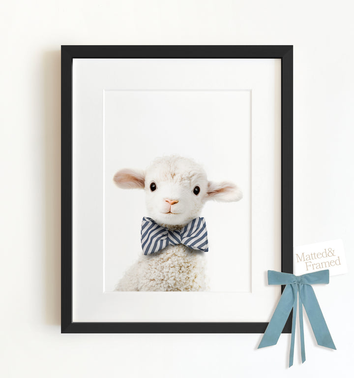 Baby Lamb Framed Art