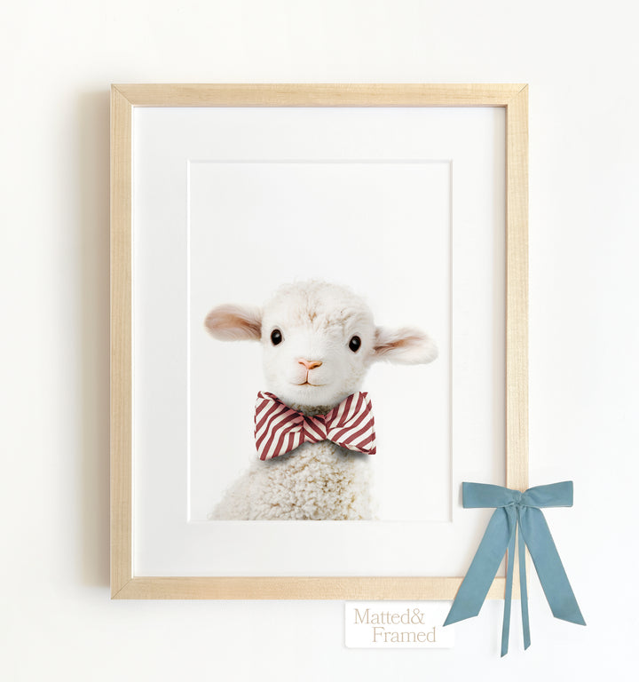 Baby Lamb Framed Art