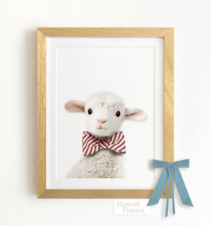 Baby Lamb Framed Art