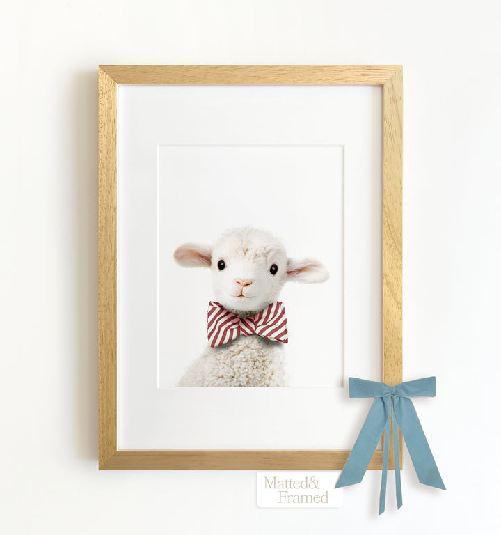 Baby Lamb Framed Art