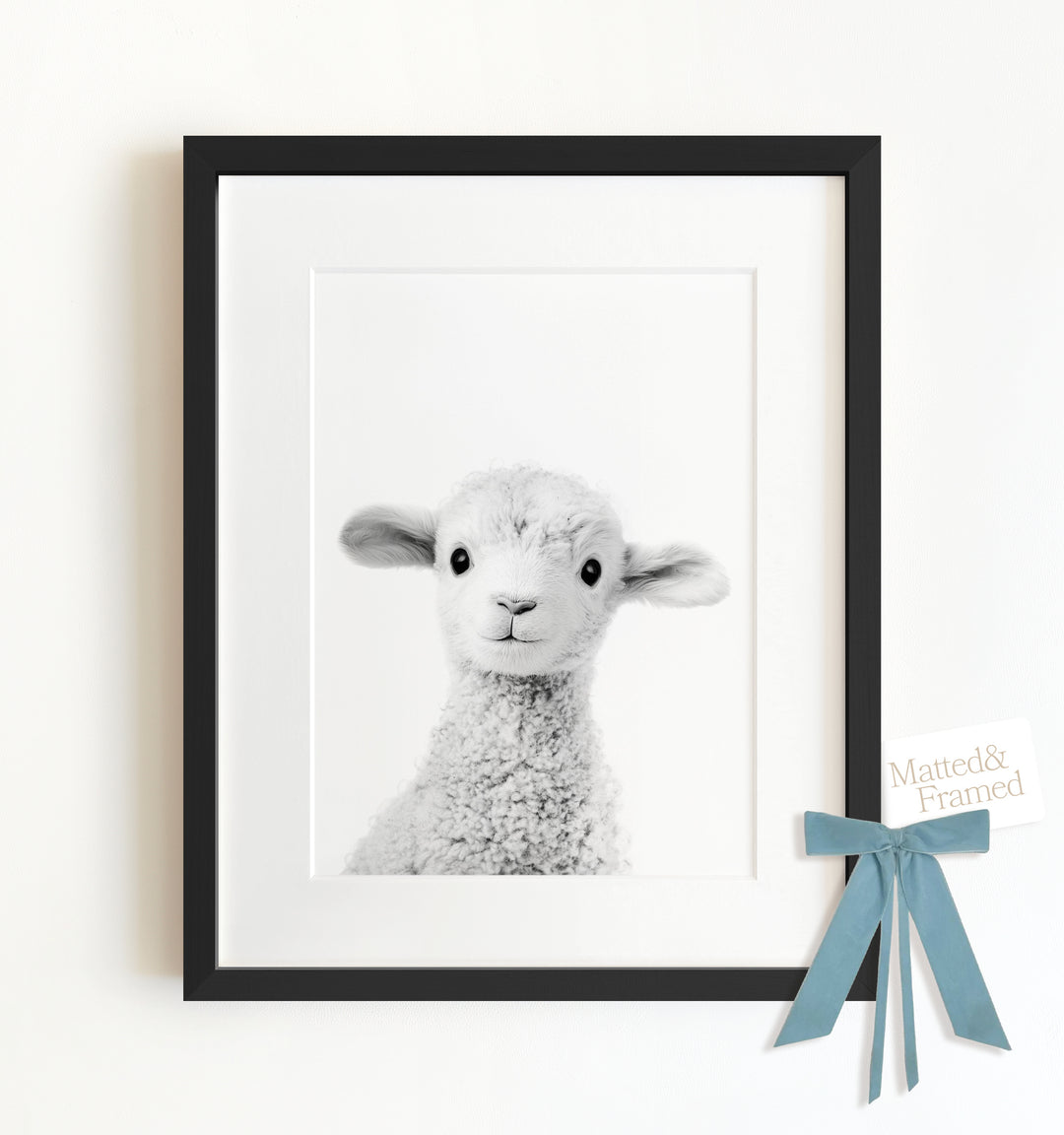 Baby Lamb Framed Art