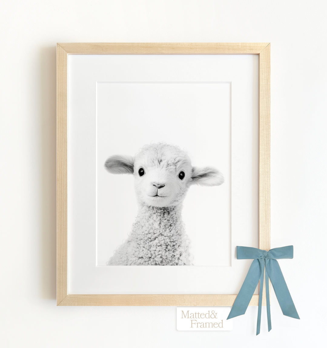 Baby Lamb Framed Art