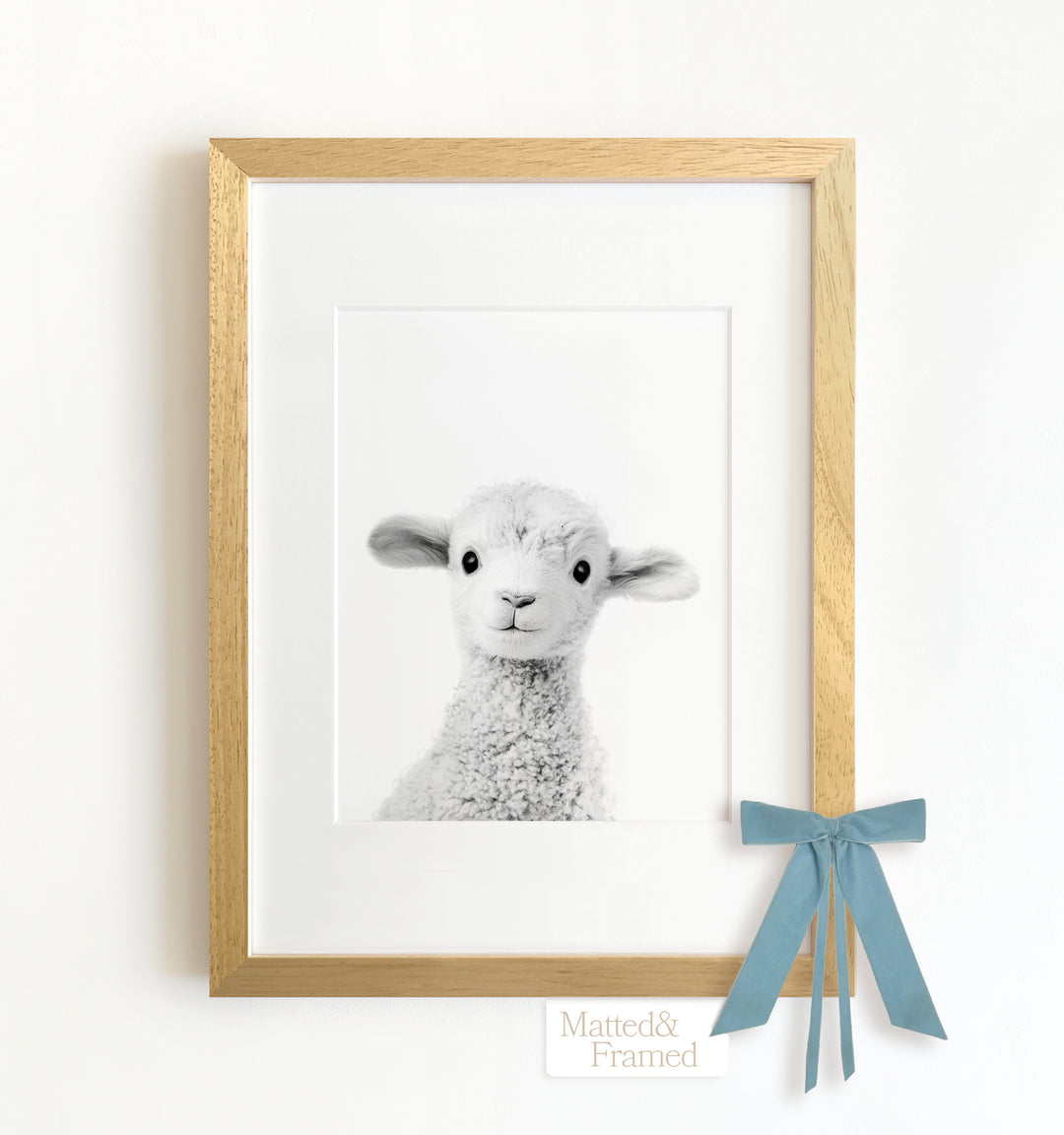 Baby Lamb Framed Art