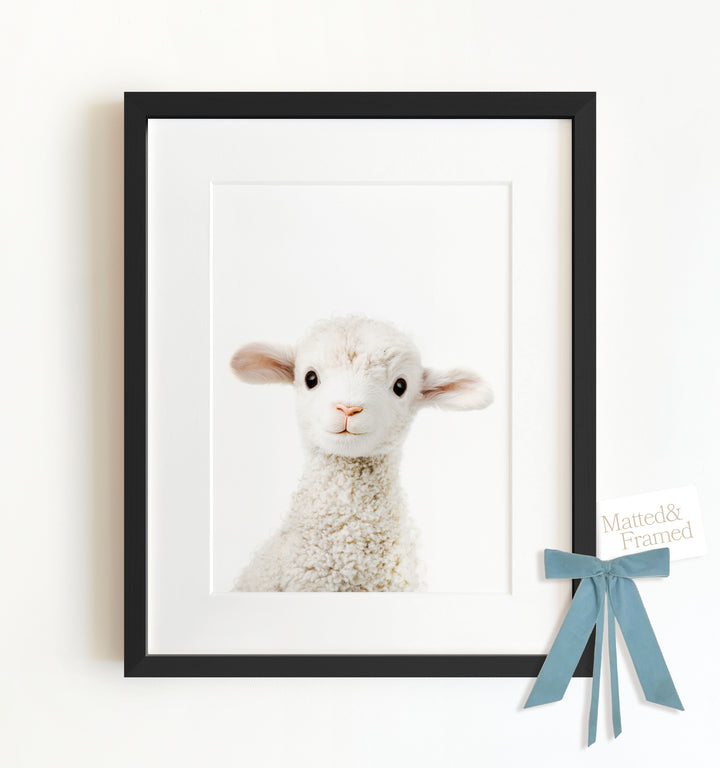 Baby Lamb Framed Art