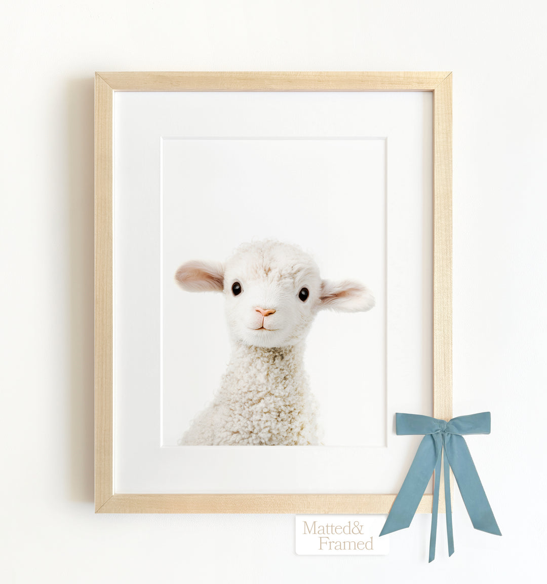 Baby Lamb Framed Art