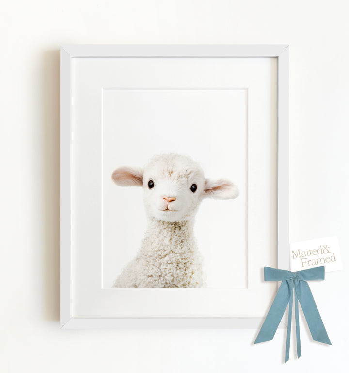 Baby Lamb Framed Art