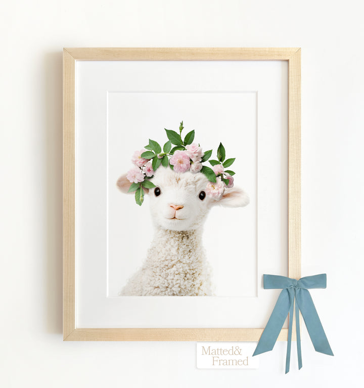 Baby Lamb Framed Art