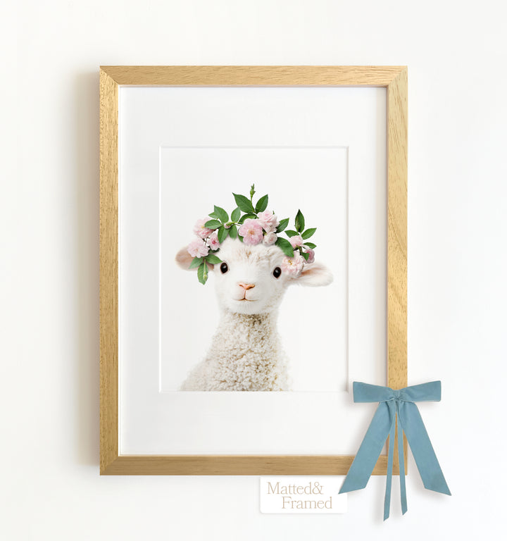 Baby Lamb Framed Art