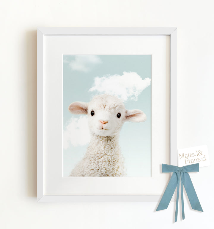 Baby Lamb Framed Art