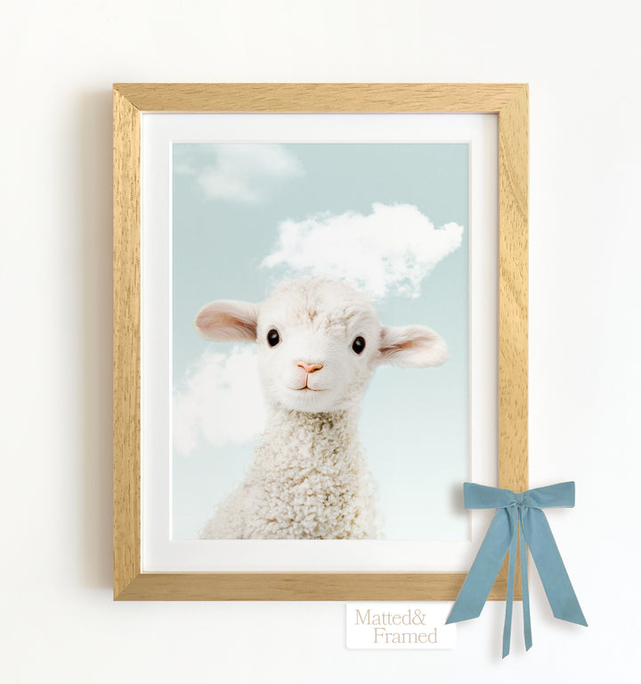 Baby Lamb Framed Art