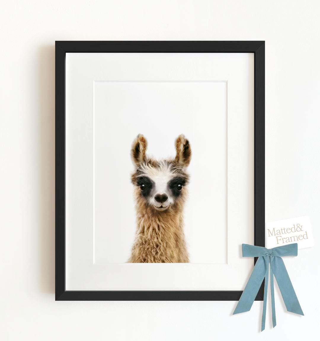 Baby Llama Framed Art