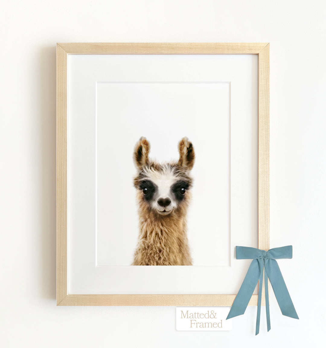 Baby Llama Framed Art