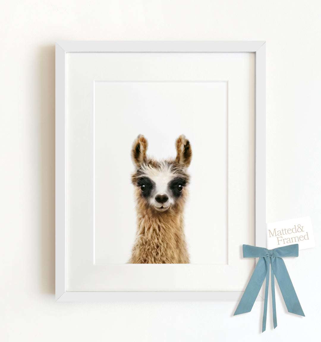 Baby Llama Framed Art