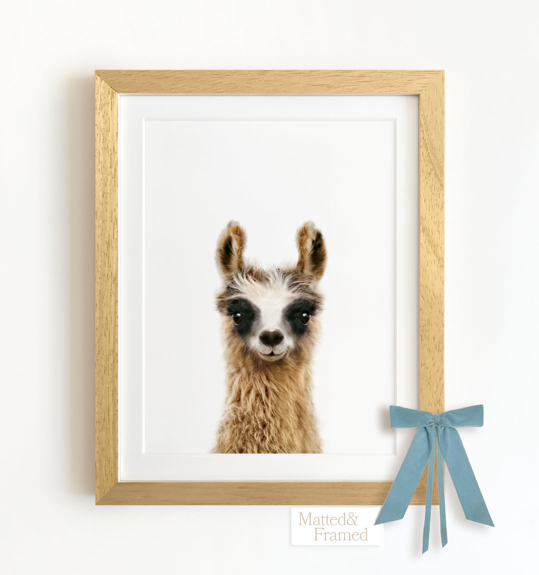 Baby Llama Framed Art