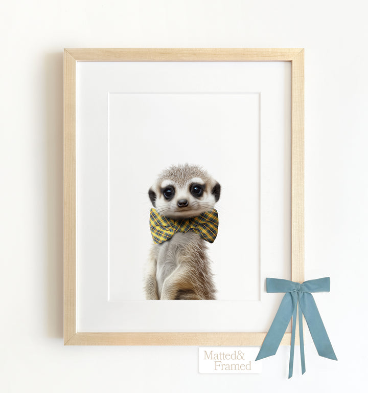 Baby Meerkat Framed Art