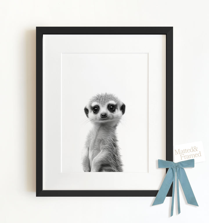 Baby Meerkat Framed Art