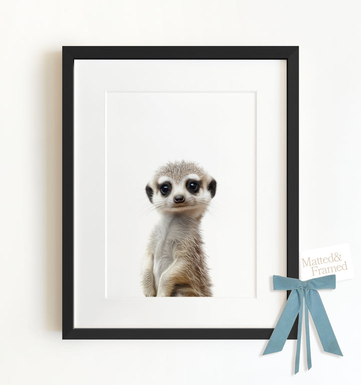 Baby Meerkat Framed Art