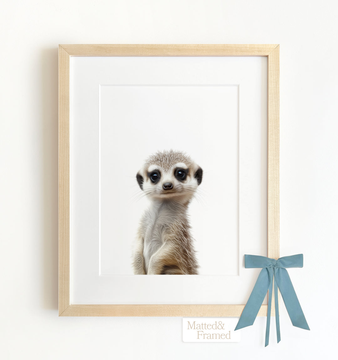 Baby Meerkat Framed Art