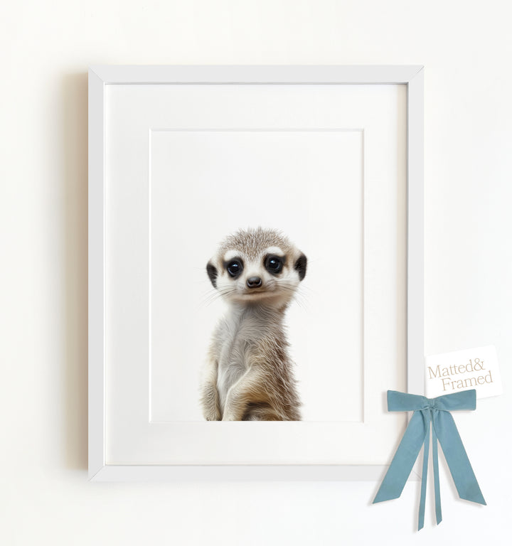 Baby Meerkat Framed Art