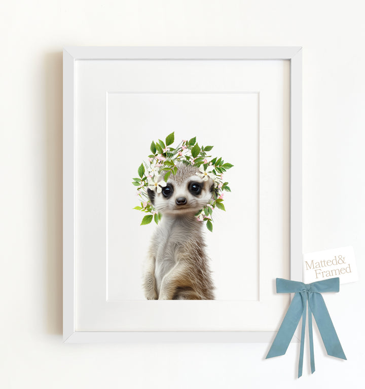 Baby Meerkat Framed Art