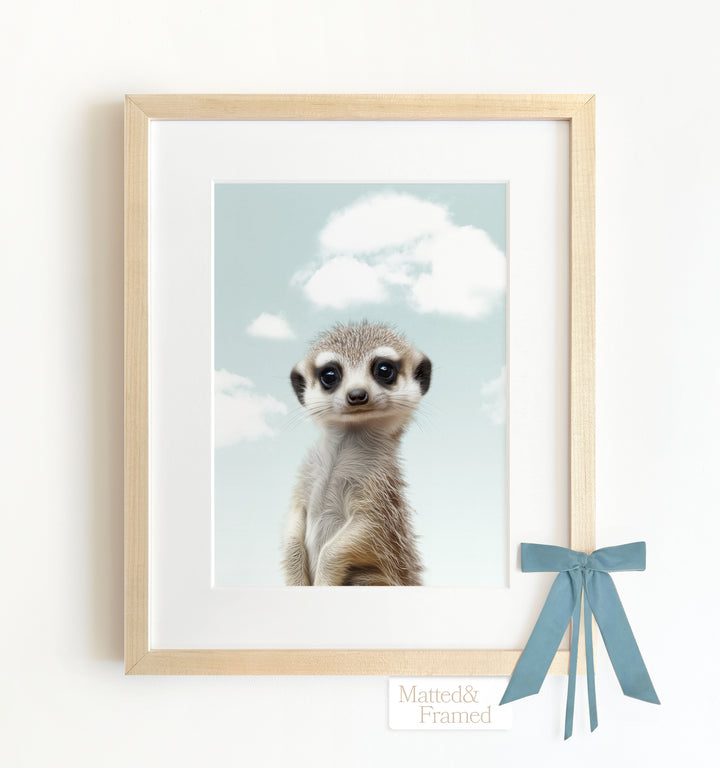 Baby Meerkat Framed Art