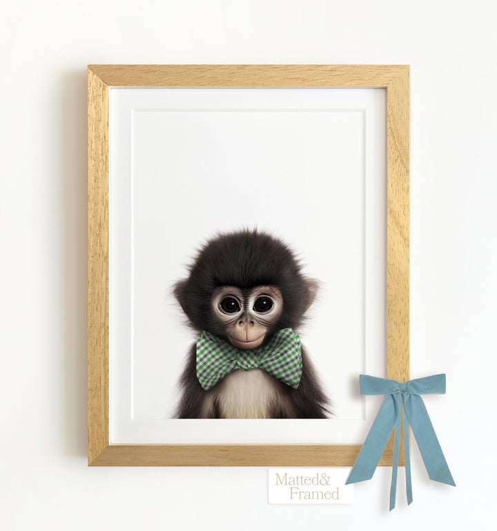 Baby Monkey Framed Art