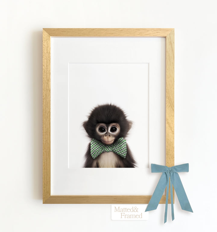 Baby Monkey Framed Art