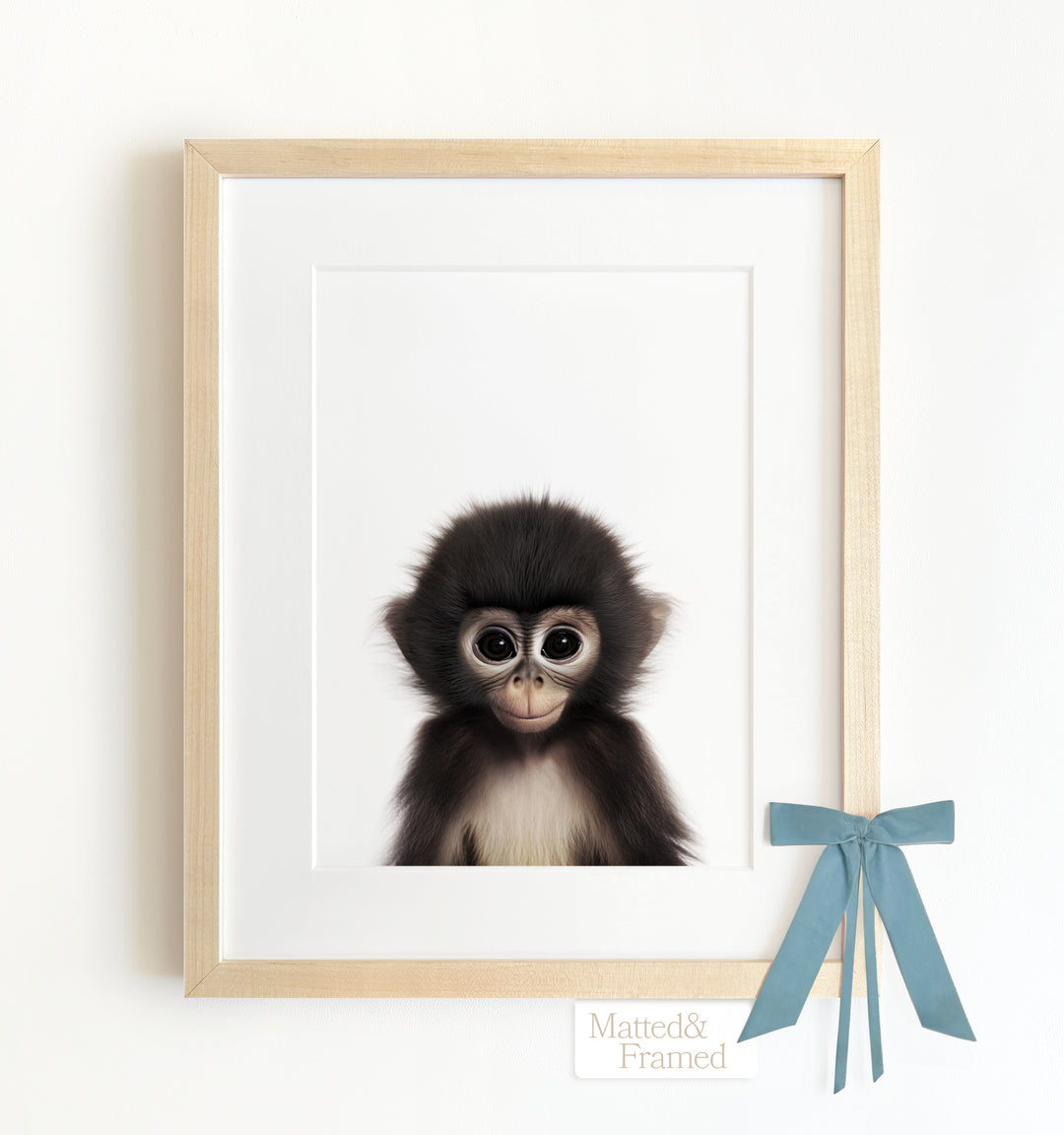 Baby Monkey Framed Art