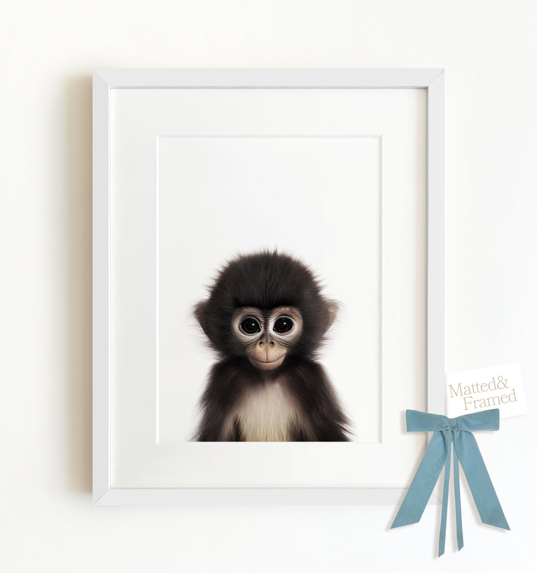 Baby Monkey Framed Art