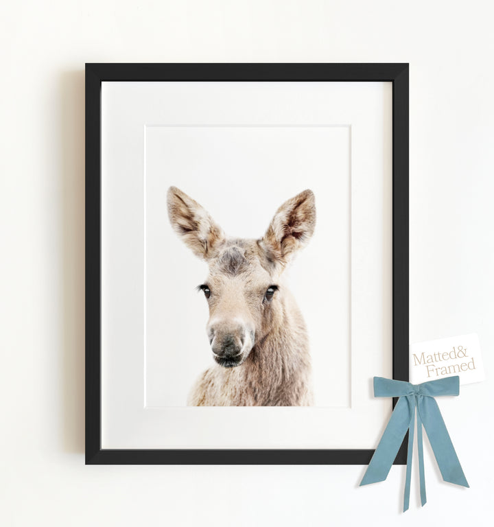 Baby Moose Framed Art