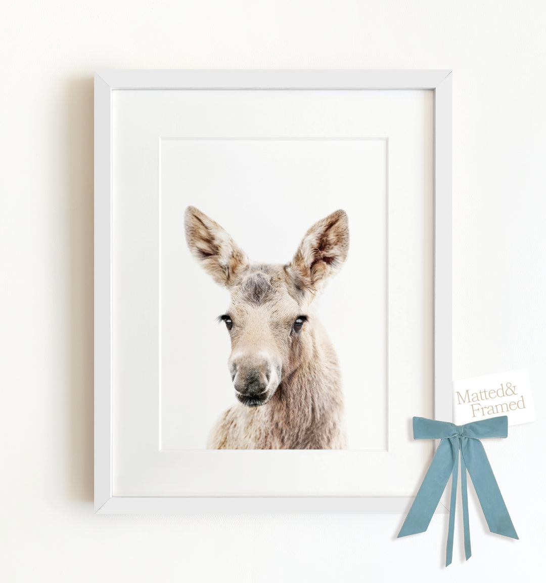 Baby Moose Framed Art