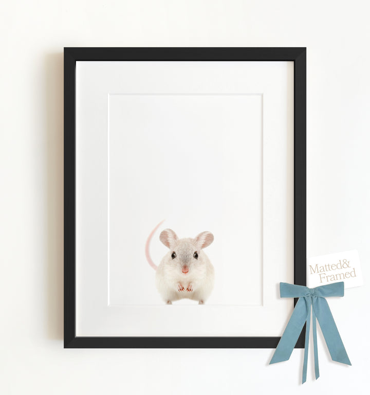 Baby Mouse Framed Art