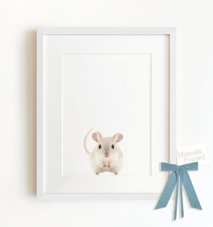 Baby Mouse Framed Art