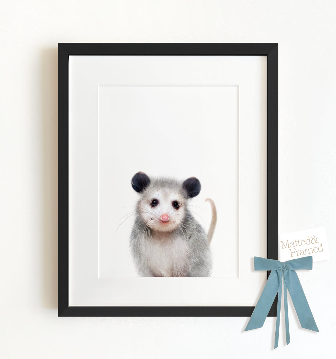 Baby Opossum Framed Art