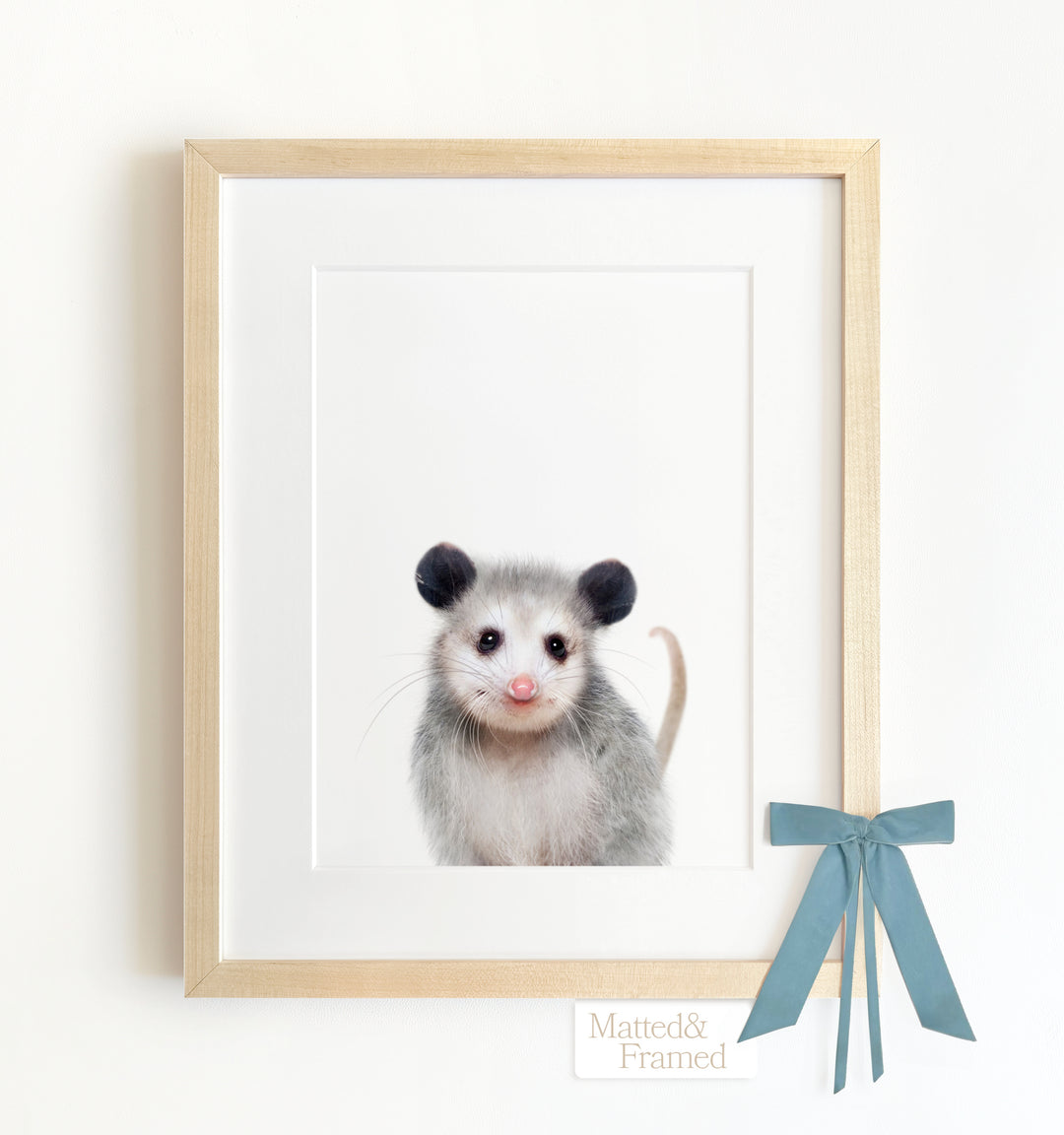 Baby Opossum Framed Art