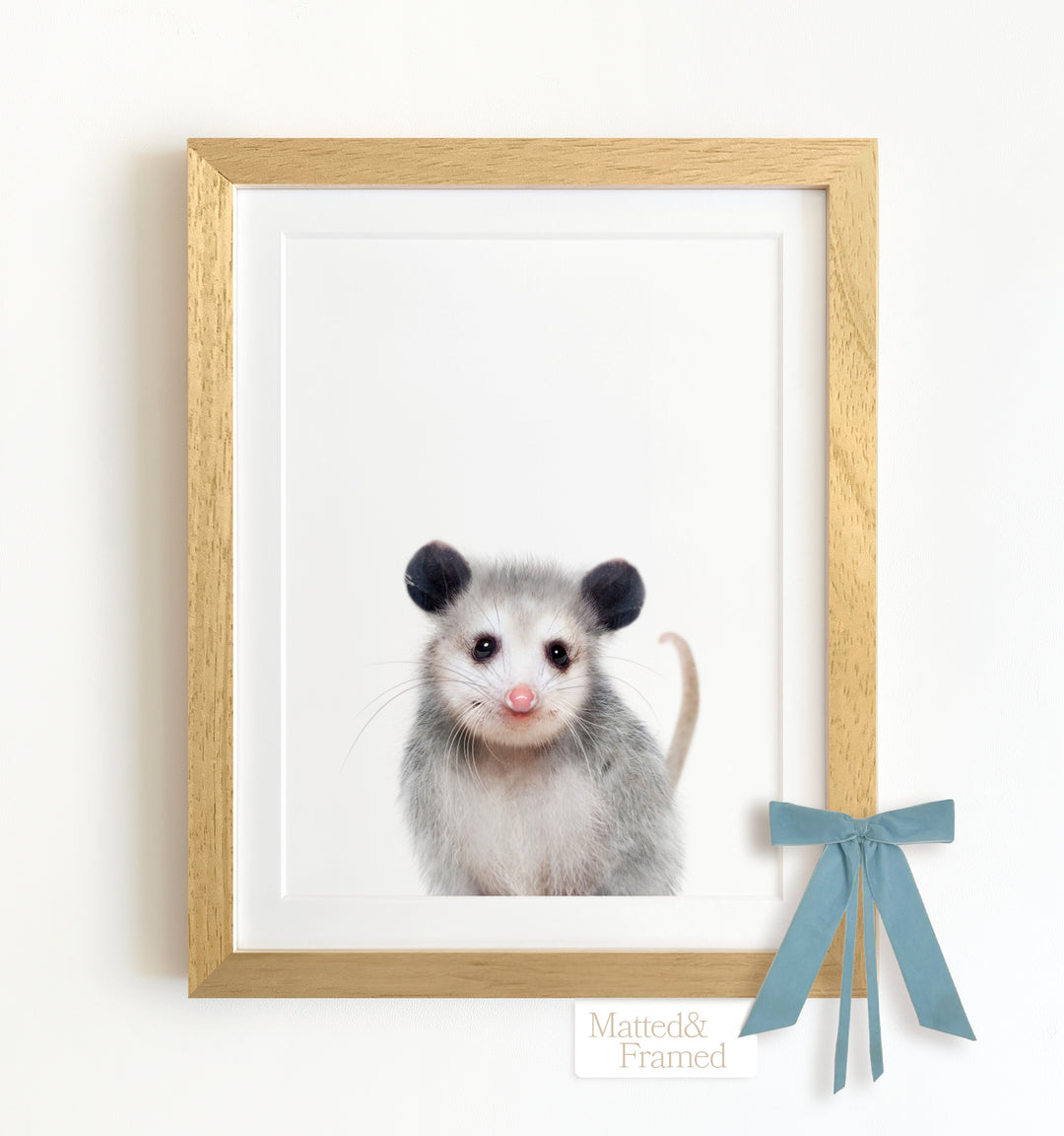 Baby Opossum Framed Art