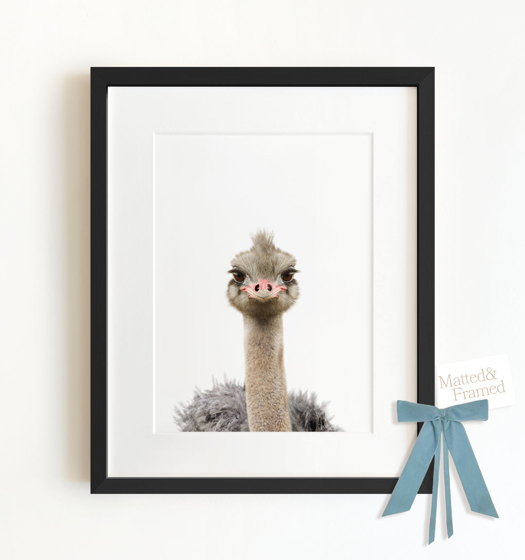 Baby Ostrich Framed Art