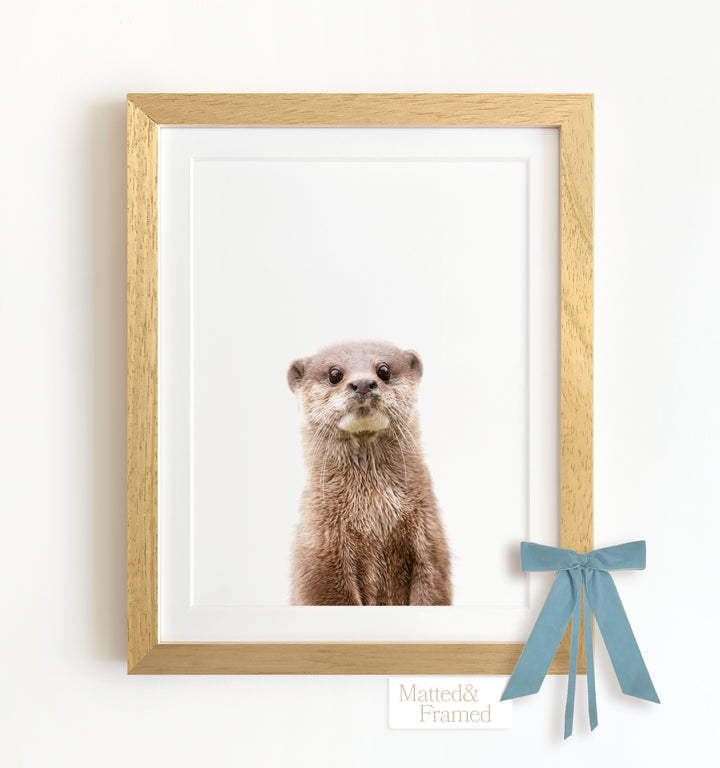 Baby Otter Framed Art