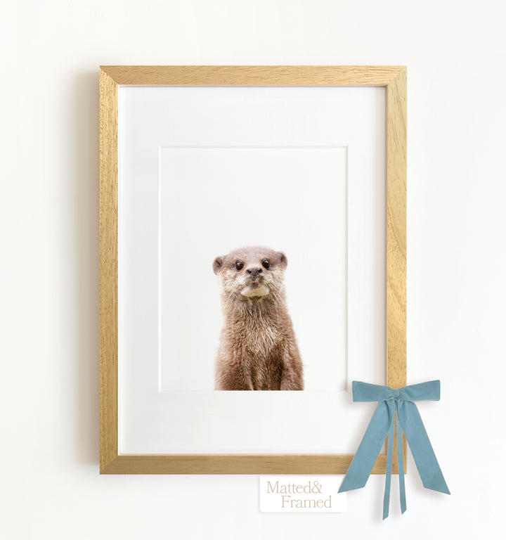 Baby Otter Framed Art