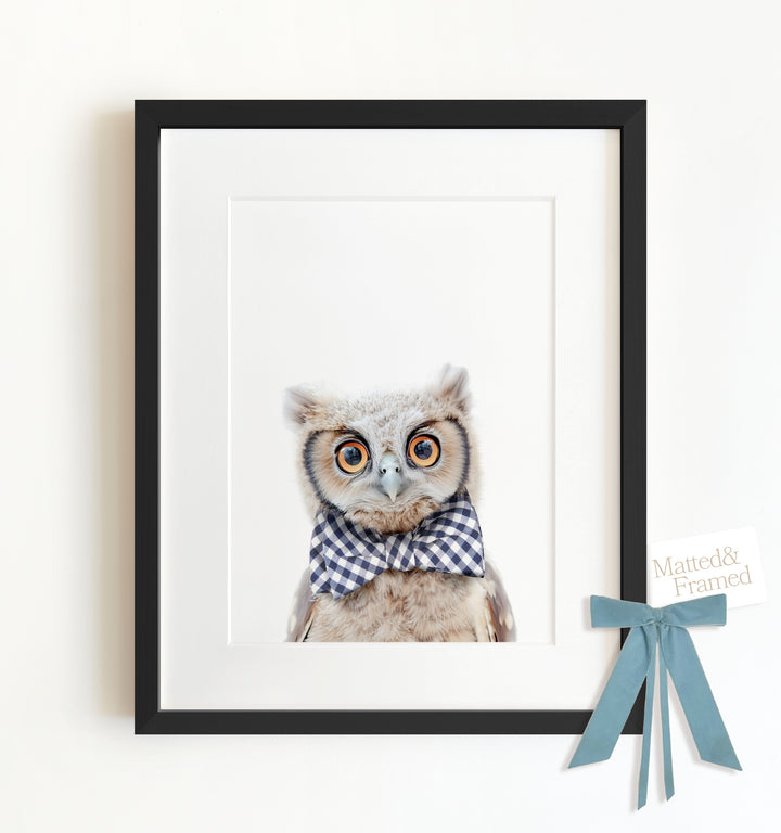 Baby Owl Framed Art