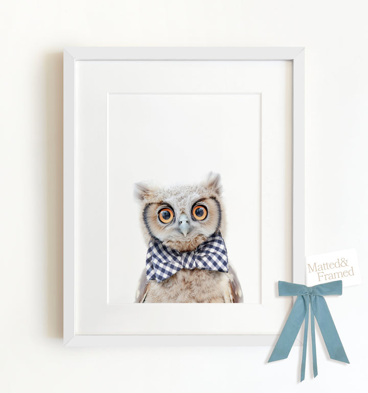 Baby Owl Framed Art