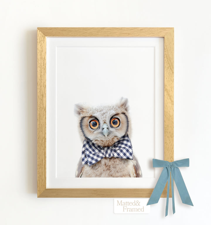 Baby Owl Framed Art