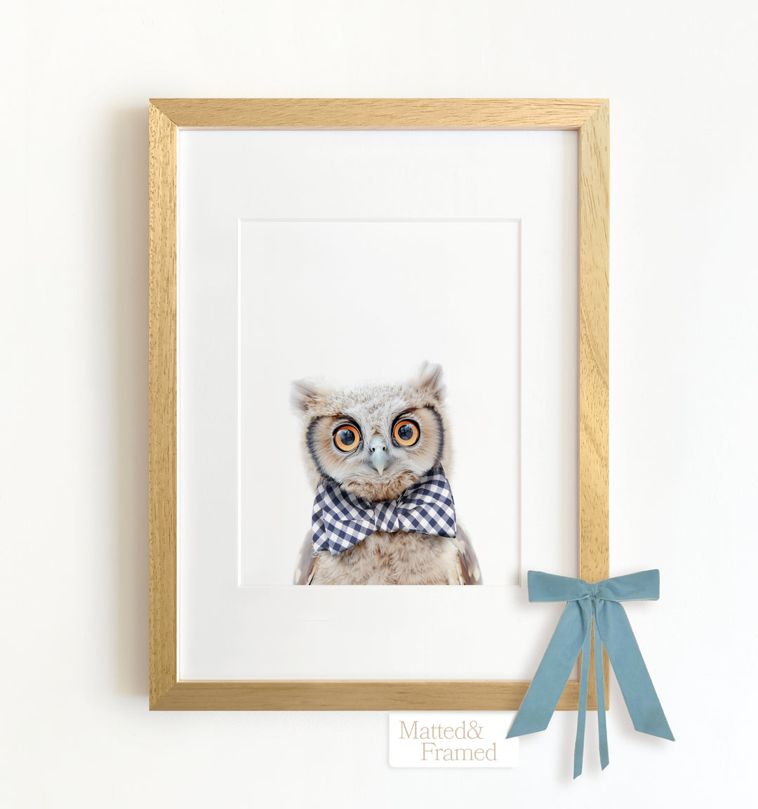 Baby Owl Framed Art