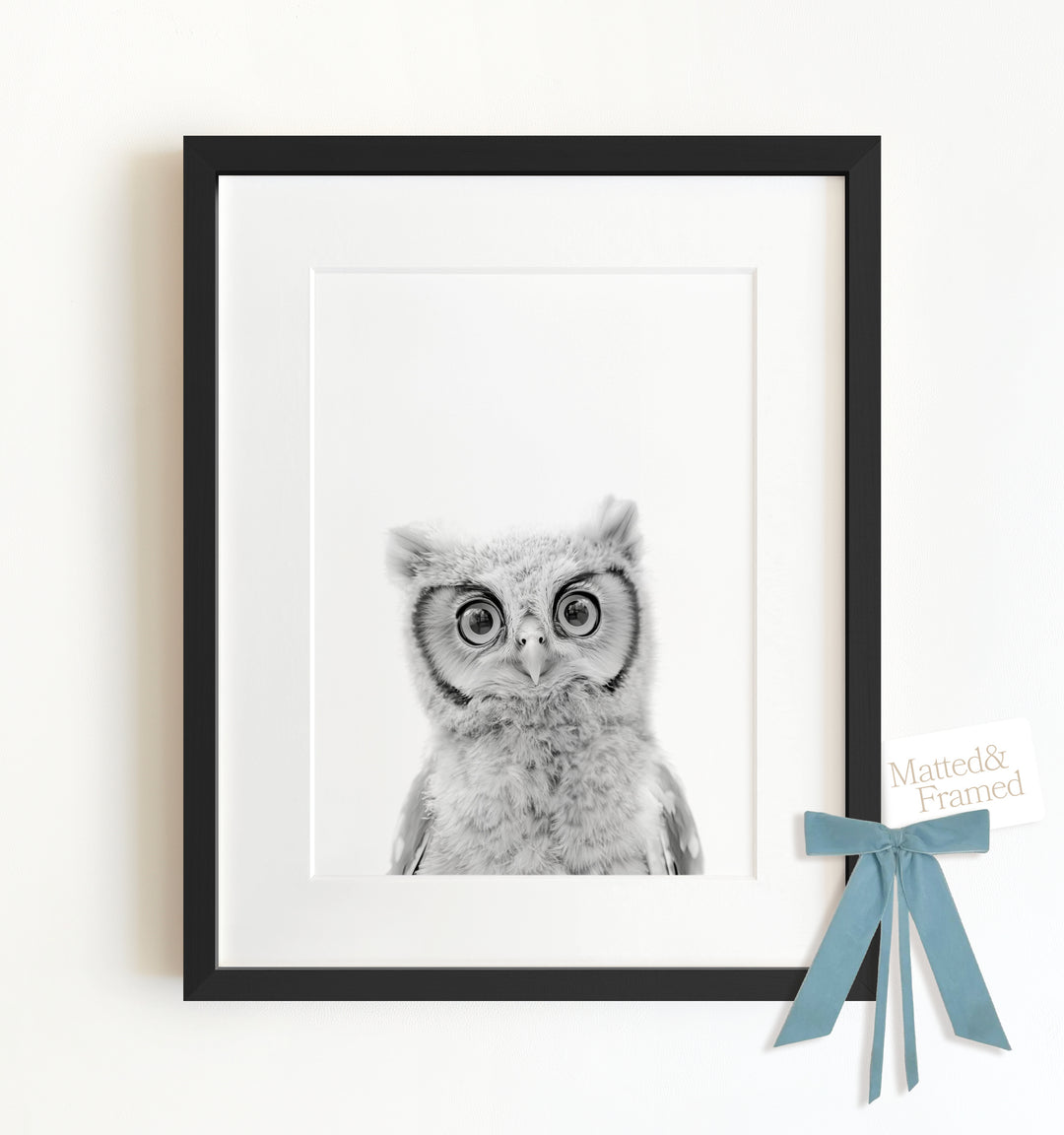 Baby Owl Framed Art