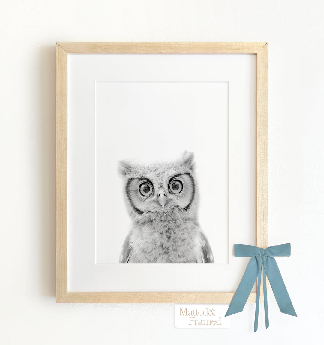 Baby Owl Framed Art