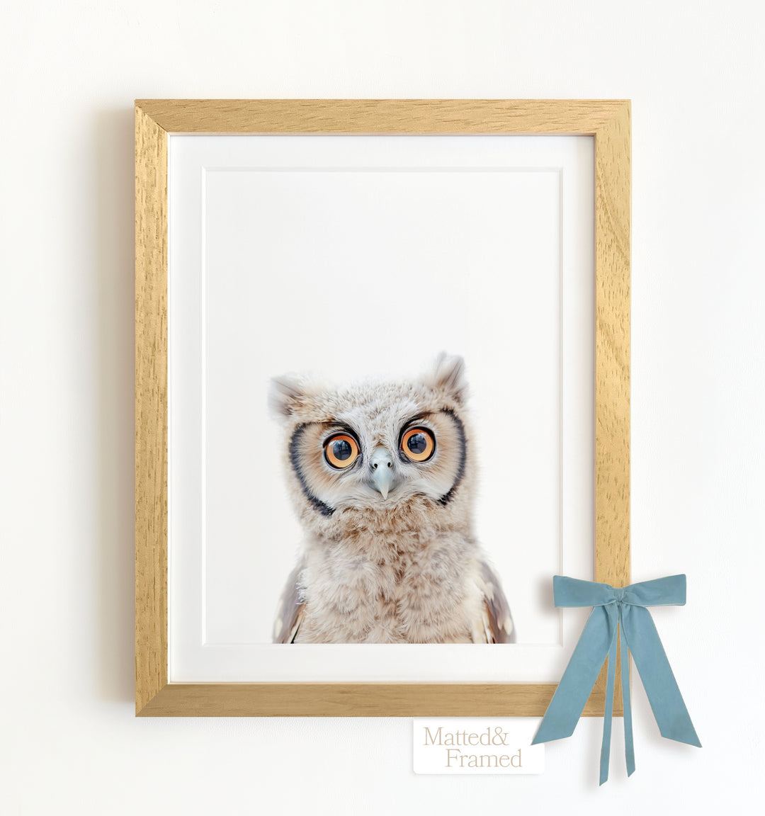 Baby Owl Framed Art