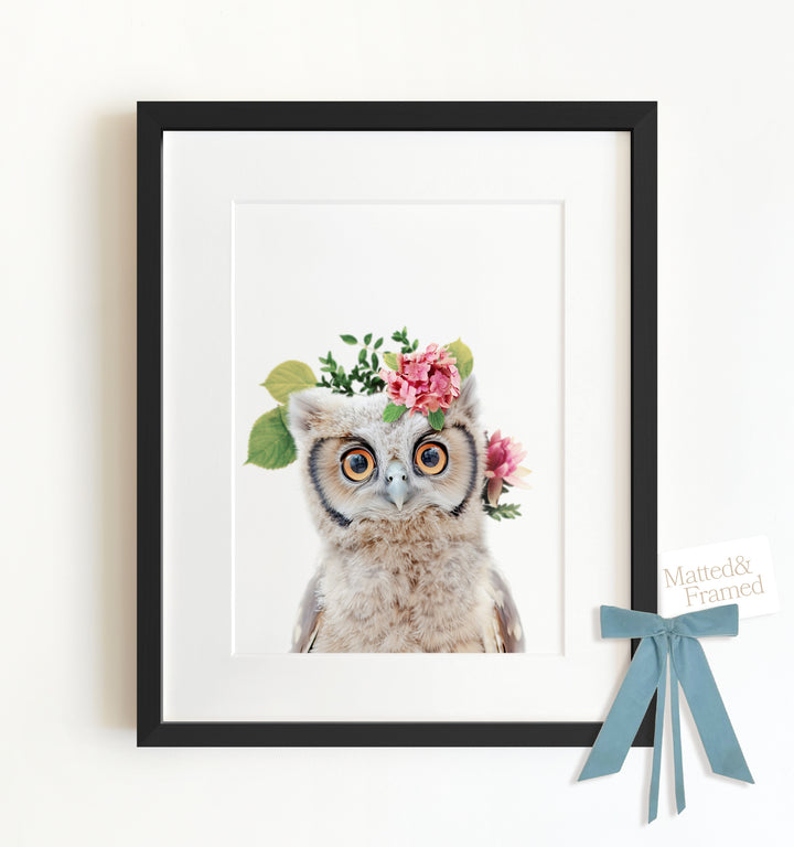 Baby Owl Framed Art