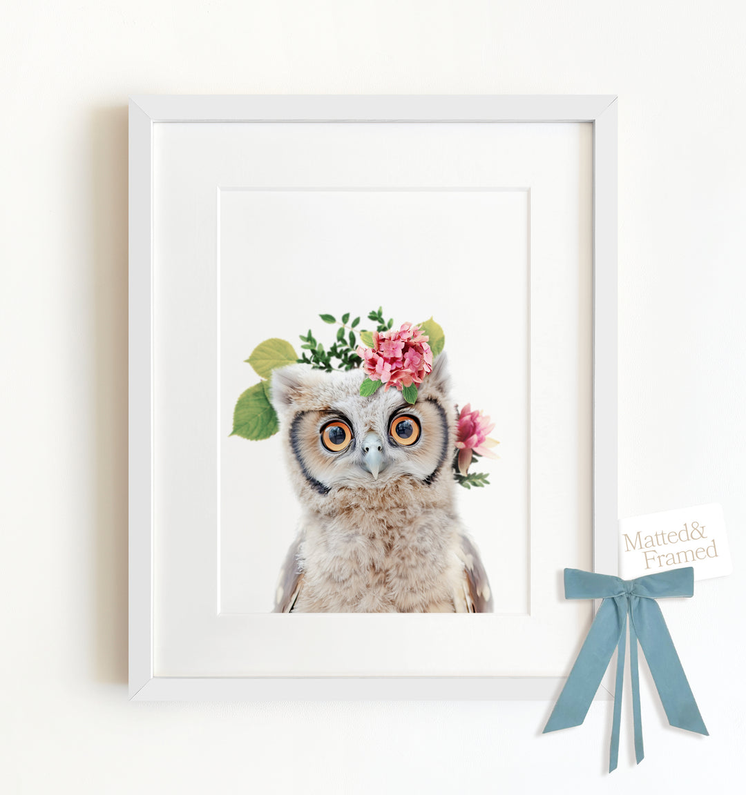 Baby Owl Framed Art