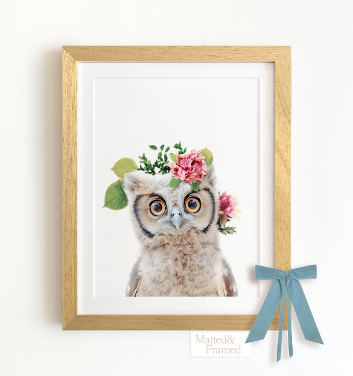 Baby Owl Framed Art